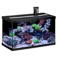 Miniatyrbild 1 av 4: Eheim - AquaStar Marine LED Aquarium Utrustat med 63L - Svart