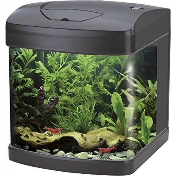 WAVE rektangulärt akvarium - Svart - 26 L - LED-belysning - Stream 230 pump - Biologiskt filter