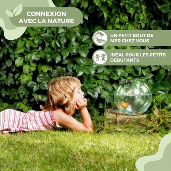 Transparent akvarium Mobiclinic runt akvarium 4L miljövänlig liten fisk Lätt att rengöra Centerpiece Nemo vattenträdgård