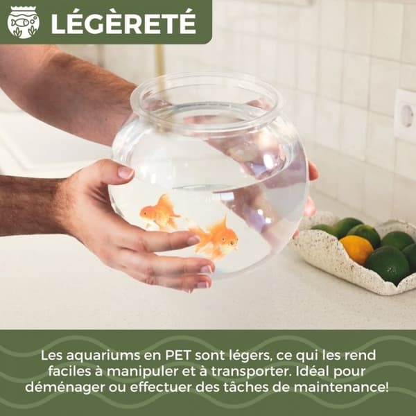 Transparent akvarium Mobiclinic runt akvarium 4L miljövänlig liten fisk Lätt att rengöra Centerpiece Nemo vattenträdgård