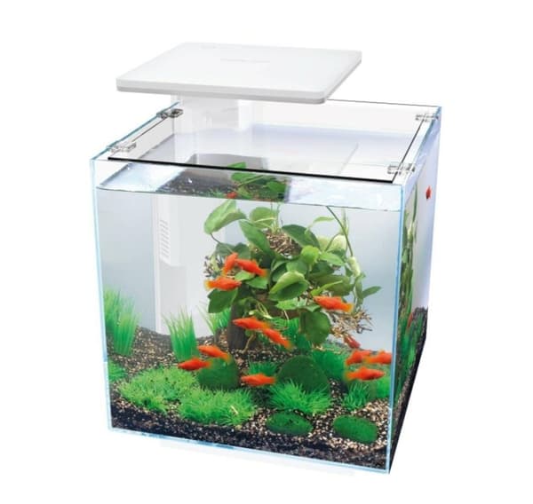 Akvarium QB-30 LED 30L vit 320x320x320mm