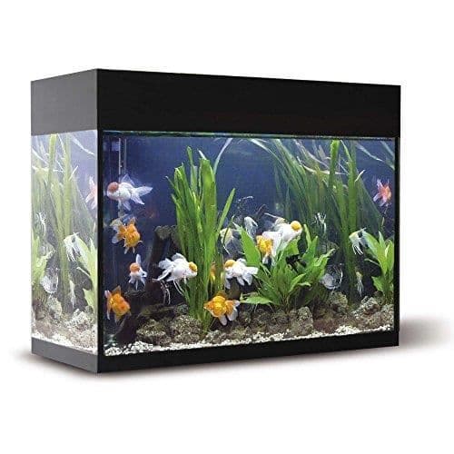 ICA kxb45 N Kit Aqualux med inre filter - KXB45N