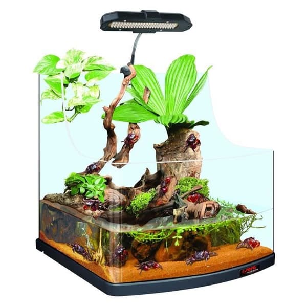 Aquaterrarium Utrustad Reptil Sköldpadda Kräftdjur Aqua Biotop - Sera