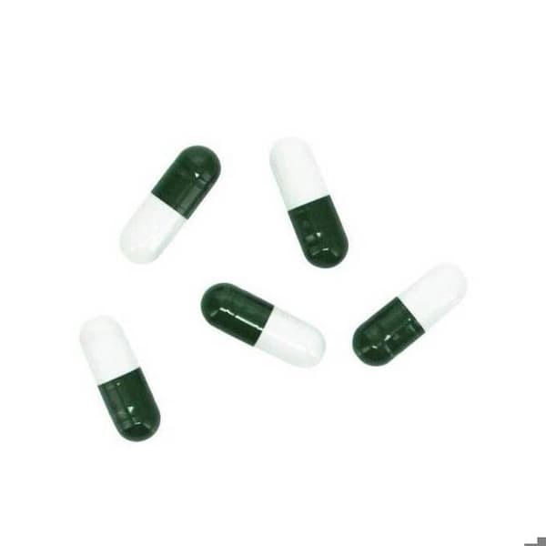 Special Bait Hobby Planaria X (x5)