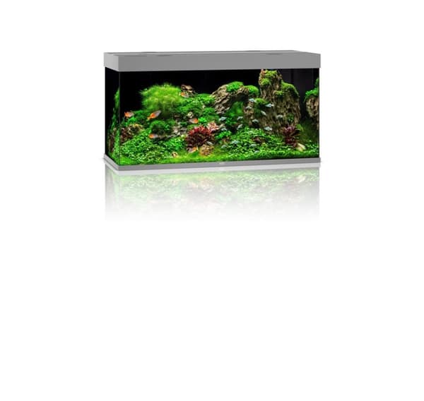 Aquarium Rio LED 350 L harmaa