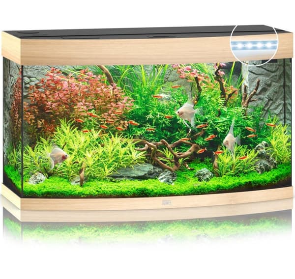 Aquarium Vision LED 180 L light wood