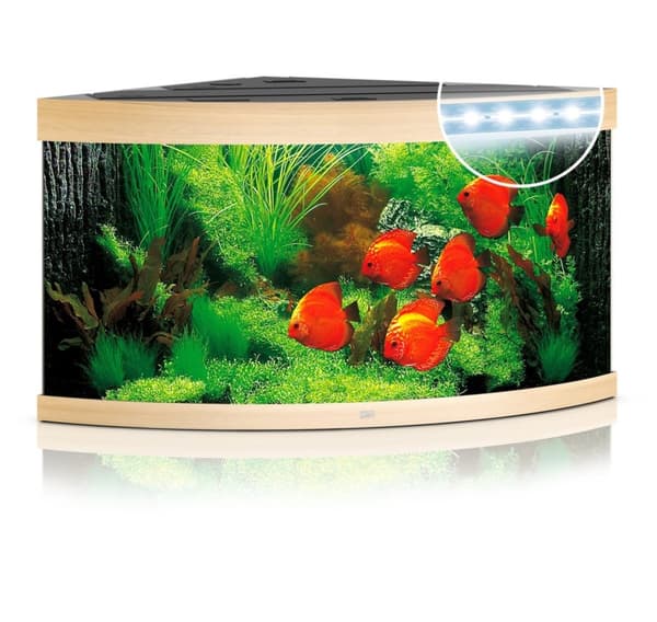 Aquarium Trigon LED 350 L light wood
