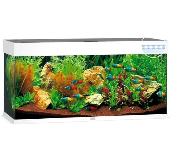 Aquarium Rio LED 240 L white