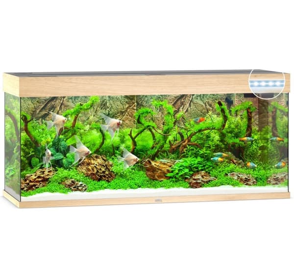 Aquarium Rio LED 240 L ljust trä