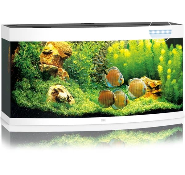 Aquarium Vision LED 260 L white