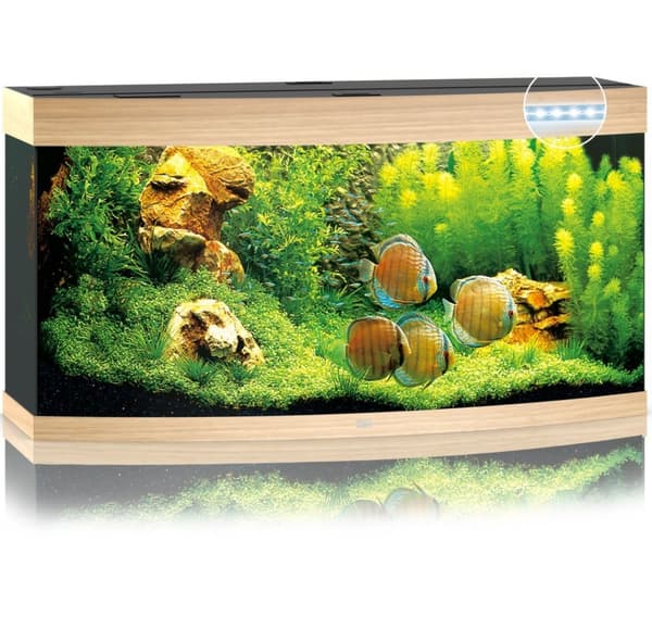 Aquarium Vision LED 260 L light wood
