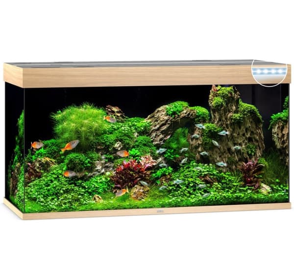 Aquarium Rio LED 350 L light wood