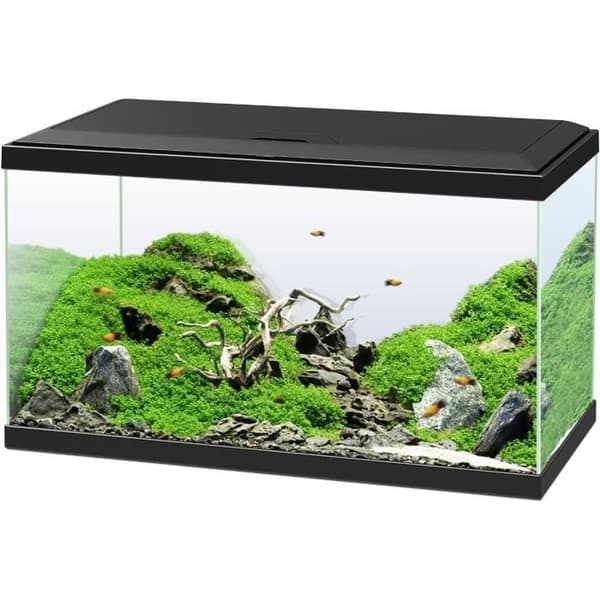 Akvarium 60 - CIANO - 58 L + Filter + LED + Värmare + Förbrukningsmaterial - Svart