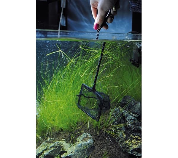 Akvarienet N-06