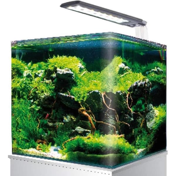 Amtra NANOTANK, Glasakvarium Utrustat med LED och pump, 18L, Mått 25x25x30cm - A2101388