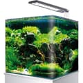 Miniatyrbild 1 av 4: Amtra NANOTANK, Glasakvarium Utrustat med LED och pump, 18L, Mått 25x25x30cm - A2101388