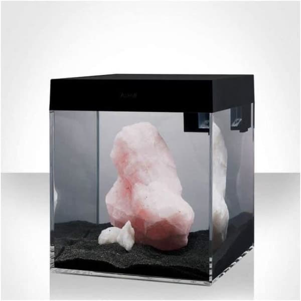 Askoll Aquarium Pure Absoluteblack, S, Black - AA350002