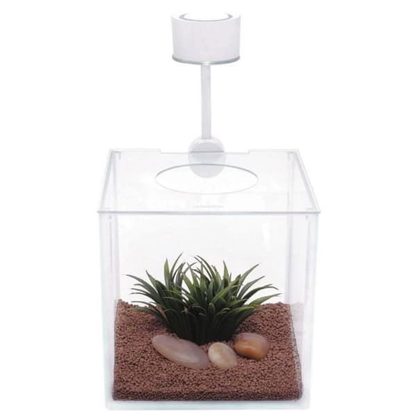 BETTA CUBUS glasakvarium - MARINA - 3,4 L - LED-belysning
