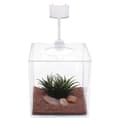Miniatyrbild 2 av 3: BETTA CUBUS glasakvarium - MARINA - 3,4 L - LED-belysning