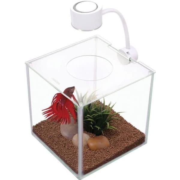 BETTA CUBUS glasakvarium - MARINA - 3,4 L - LED-belysning BETTA CUBUS glasakvarium - MARINA - 3,4 L - LED-belysning