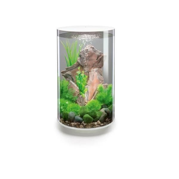 Oase 35l dekorativt akvarium med vit ram - Tube 30 LED vit