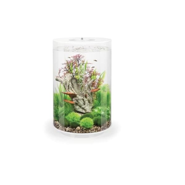 Oase 35l dekorativt akvarium med vit ram - Tube 30 LED vit