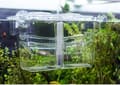 Miniatyrbild 3 av 4: Aquarium Hobby - 61385 - Nido 4