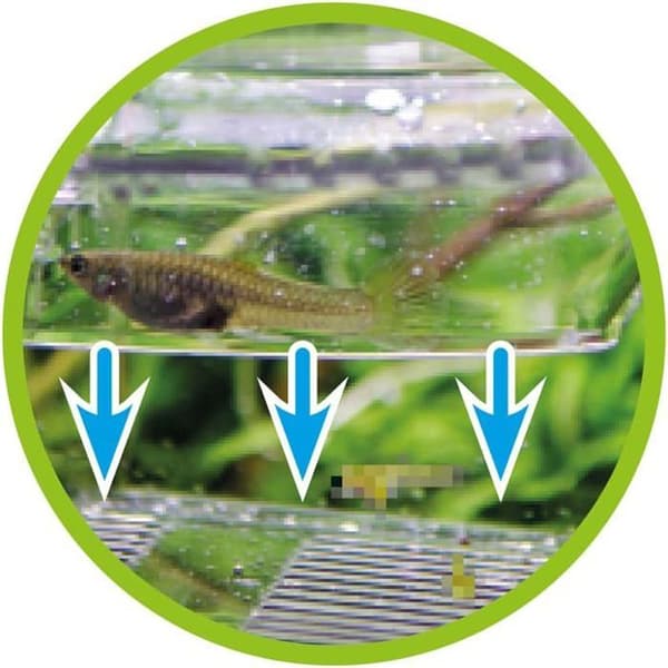 Aquarium Hobby - 61385 - Nido 4