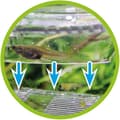 Miniatyrbild 4 av 4: Aquarium Hobby - 61385 - Nido 4