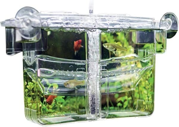 Aquarium Hobby - 61385 - Nido 4