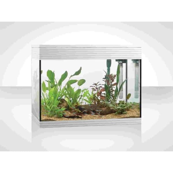 Askoll Akvarium Pure Vit, L, Vit - AA350049