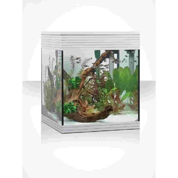 Askoll Akvarium Pure LED, M, Vit - AA350046