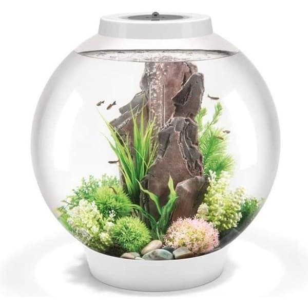 Oase Biorb Classic 60 LED Aquarium Light, 12 lbs vit