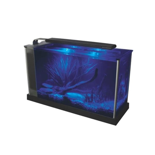 Akvarium - FLUVAL - Spec V - 19 L - Vit - LED-belysning - Separationsfilter