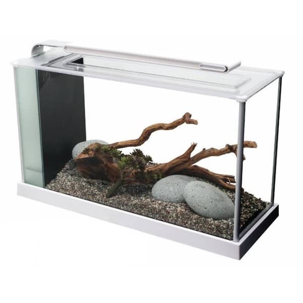 Akvarium - FLUVAL - Spec V - 19 L - Vit - LED-belysning - Separationsfilter