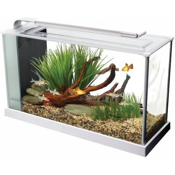 Akvarium - FLUVAL - Spec V - 19 L - Vit - LED-belysning - Separationsfilter