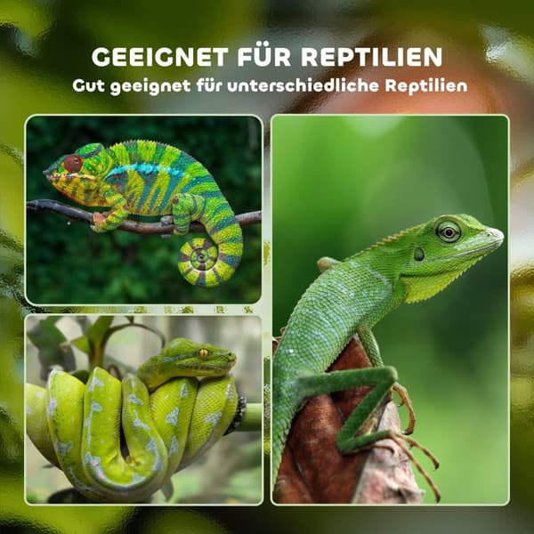 Reptil Avlskasse, Terrarium, 120x40x40 cm, Hvid+Sølv+Sort