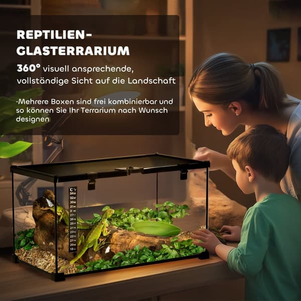 Terrarium, 50x30x25 cm, Svart