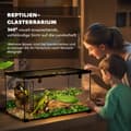 Miniatyrbild 4 av 9: Terrarium, 50x30x25 cm, Svart