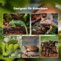 Miniatyrbillede 7 af 9: Reptil Terrarium, 50x30x35 cm, Sort