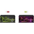 Miniatyrbild 5 av 5: Växter LED-ramp - CIANO - Convert. Aqua 60 80 LED