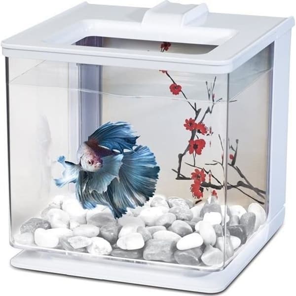 Betta Ez Care Marina Aquarium - White