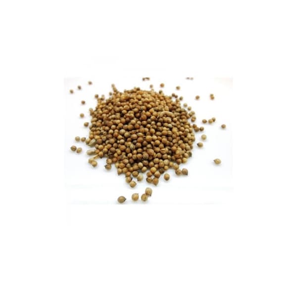 Koriander Coriandrum sativum 500g