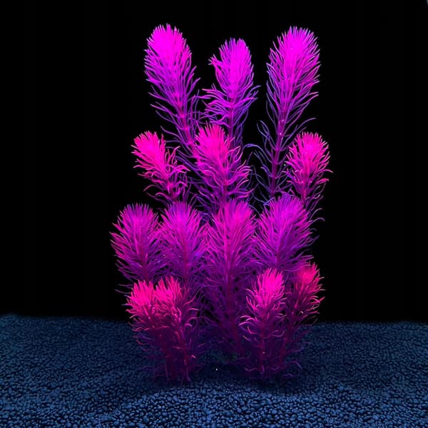 AKVARIEPLANTER KUNSTIG plante til AKVARIUM 01