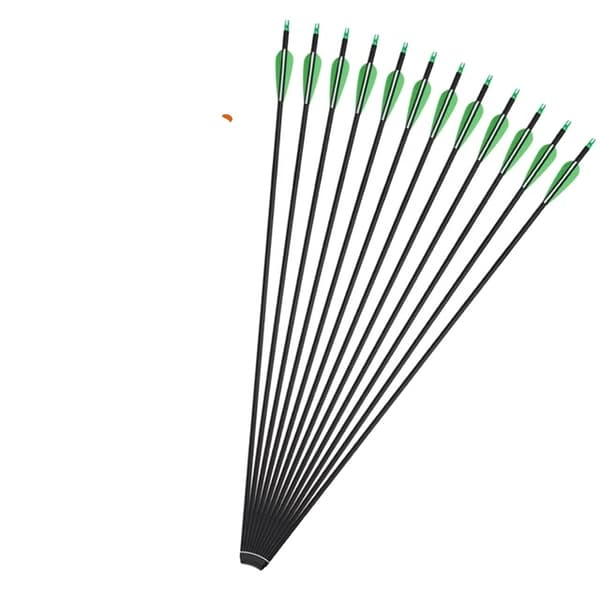 Kulfiberpile, Spine 500, ID 62mm, R B sæt 1
