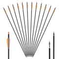 Miniatyrbillede 2 af 2: Kulfiberpile, 31 tommer, Aftagelige spidser, 24 stk