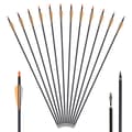 Miniatyrbillede 1 af 2: Kulfiberpile, 31 tommer, Aftagelige spidser, 24 stk