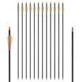 Pikkukuva 2 / 2: Hiilikaari nuolet, jäykkyys 500, halkaisija 62mm, 24 kpl oransseja