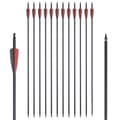 Pikkukuva 1 / 2: Hiilikaari nuolet, jäykkyys 500, halkaisija 62mm, 24 kpl punamusta