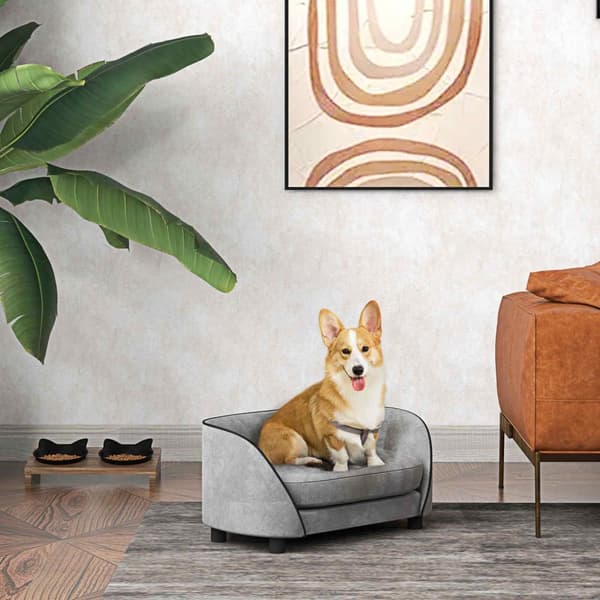 Rootz PET -sohva Dogenofa - Koiran sohva - Cat Couch - Irrotettava kansi - Hollantilainen samettikohde - 67cm x 43cm x 31cm